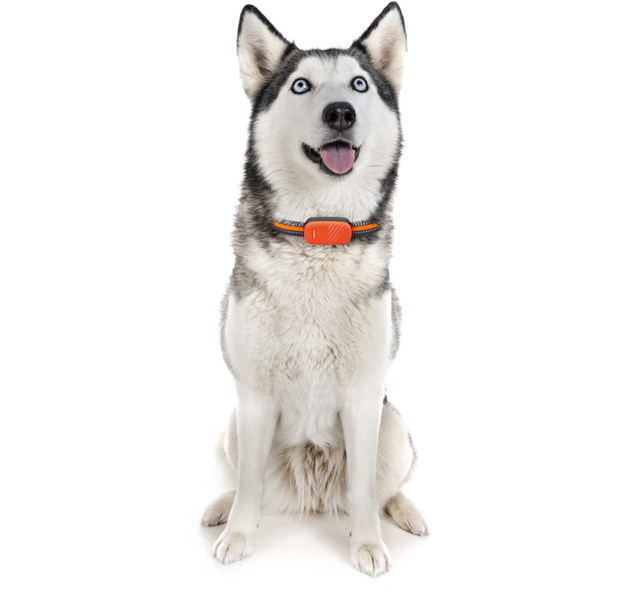 2026 4G Full Network GPS Locator Plastic Waterproof Anti-Loss Anti-Theft Tracker for Dogs & Cats with 1 Year Battery