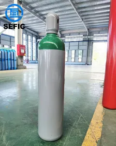 Stickstoff-Argon-Sauerstoff-Gasflasche 50 L leerer CO2-Gaszylinder industrielle Schweißverwendung