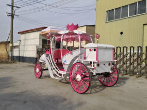 Carroza de Boda Eléctrica Estilo Princesa Europea, Diseño de Calabaza, Venta Directa de Fábrica - Product Image 4