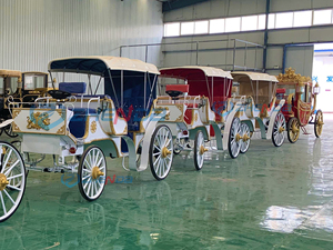 Chariot de Mariage Européen à Prix Abordable, Chariot de Tourisme, Magnifique Chariot Citrouille Blanc Couvert - Product Image 6