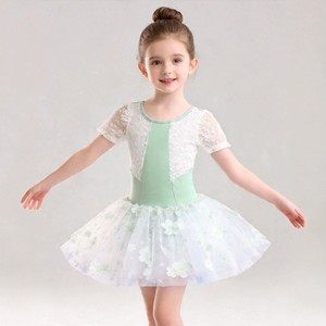 Robe de tutu de ballet pour filles, robe de danse à manches bouffantes, robe de tutu en maille pour l'entraînement et les spectacles - Product Image 2