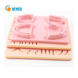 Simulateur <span class=keywords><strong>de</strong></span> chirurgie pour <span class=keywords><strong>l</strong></span>'école <span class=keywords><strong>de</strong></span> dentisterie, modèle <span class=keywords><strong>de</strong></span> Suture dentaire, Science médicale, <span class=keywords><strong>Oral</strong></span>, étudiants d'université, 230 - Product Image 1