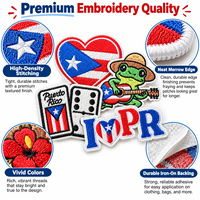 Lot de patchs drapeau Porto Rico en gros, motifs Coqui, grenouille, maracas, cœur, thermocollants et à coudre, pour loisirs créatifs, cadeaux, décoration, patchs de créateur