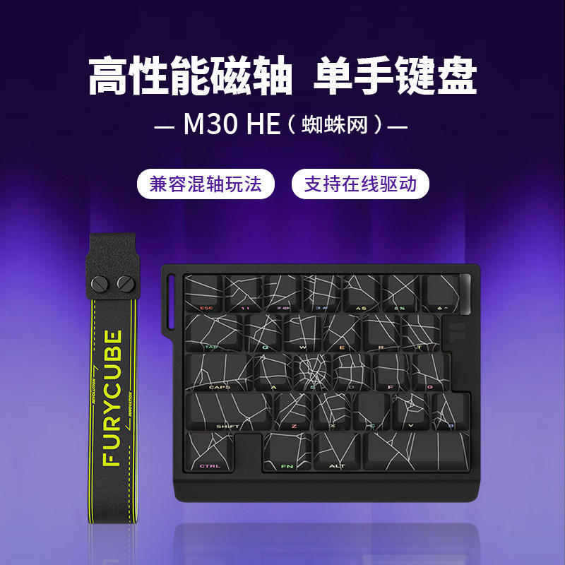 M30he/29 Key/Spider Web [Wired] RGB-Universal Magnetic Gaming Axis