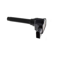 High Quality Ignition Coils for Audi Car Engines OEM 079905110P