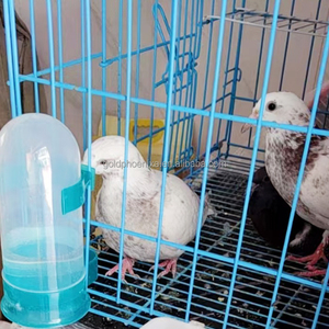 Accesorios para jaulas <span class=keywords><strong>de</strong></span> pájaros YYC, dispensador <span class=keywords><strong>de</strong></span> comida para <span class=keywords><strong>periquitos</strong></span> colgante, alimentador y <span class=keywords><strong>bebedero</strong></span> automático para palomas - Product Image 6