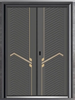 Fournisseur chinois de premier plan, porte d'entrée principale pivotante en aluminium et acier Hyundai, porte extérieure, porte de sécurité pour l'entrée de la maison