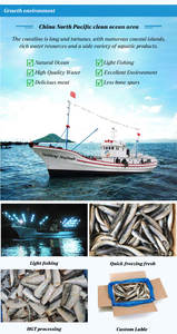 <span class=keywords><strong>Precio</strong></span> <span class=keywords><strong>de</strong></span> sardina <span class=keywords><strong>de</strong></span> China por tonelada <span class=keywords><strong>de</strong></span> sardina al por mayor para importador <span class=keywords><strong>de</strong></span> sardina - Product Image 4