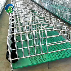 Nouvel équipement d'élevage porcin, cages, caisses de gestation, enclos pour porcs, type A, acier galvanisé à chaud, écologique - Product Image 3