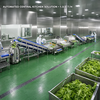 Solution tout-en-un pour cuisine centralisée : Ligne de production de transformation des légumes-feuilles pour la restauration commerciale