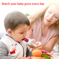 Usine En Gros Sans BPA Silicone Bébé Alimentaire Fruits Sucette Échantillon Gratuit Mangeoire De Fruits Frais pour Enfants