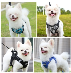 Satu Set Tali dan Kekang Bernapas Empuk Jaring Dapat Disesuaikan Reversibel Tidak Tarik Kustom Harness Anjing Hewan Peliharaan - Product Image 2