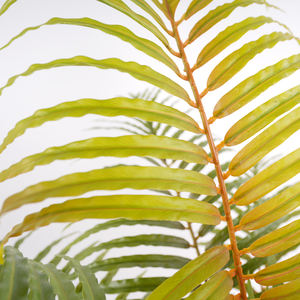 Pianta artificiale da 118cm con fronde <span class=keywords><strong>verdi</strong></span> sintetici durevoli e naturali per l'arredamento di interni - Product Image 5