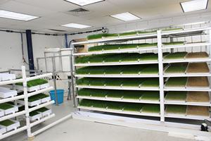 Sistema hidropónico <span class=keywords><strong>de</strong></span> forraje <span class=keywords><strong>para</strong></span> germinación <span class=keywords><strong>de</strong></span> semillas microgreen, sistema <span class=keywords><strong>de</strong></span> producción hidropónico <span class=keywords><strong>de</strong></span> forraje verde - Product Image 6