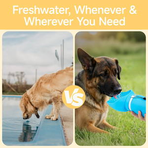 Wholesale <b>Puppy</b> Walk Drink Outdoor Pet <b>Bowl</b> Cup Leakproof Bottle Travel Food Grade Portable Dog Water Bottle - Product Image 3