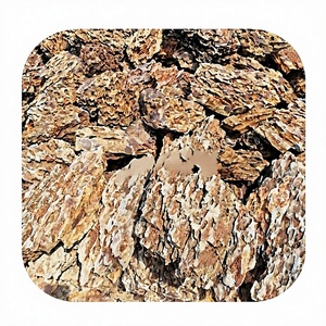 Rocce per Acquario di Lusso Eco-Friendly Molto Apprezzate, Pietra Drago Ohko Marrone per Soggiorno - Product Image 1