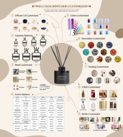 Diffuseur de parfum en pot de plâtre WELLNESS Factory OEM/ODM, huile essentielle personnalisée, sans flamme, parfum durable, arôme, aromathérapie pour la maison