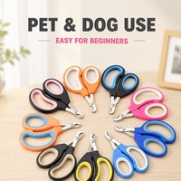 Ciseaux de toilettage professionnels en acier inoxydable, sûrs et adaptés aux débutants, pour l'entretien domestique des chats et petits chiens