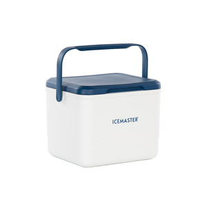 24L Outdoor Essential Insulated <b>Cooler</b> <b>Box</b>, Portable Design for Easy Transport to Park or Shore - Product Image 5