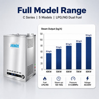 Générateur de vapeur au gaz JOWIN 40-80KW 220V en acier inoxydable 304 pour salle de vapeur d'hôtel, vapeur rapide, bain de vapeur