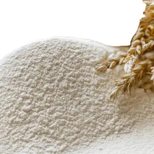 厂家直销供应活力小麦粉食品级面筋粉
