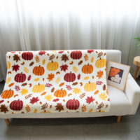 Nouvelles Couvertures Modernes de Luxe en Peluche à Impression Numérique, Design Personnalisé 2026, Prix Usine OEM ODM, Faible MOQ, Plaid pour la Maison et le Lit