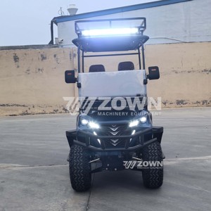 Carrito de golf eléctrico ZOWN de 3-4 asientos, vehículo utilitario todoterreno con techo y luces LED - Product Image 1