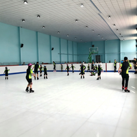 Dalles de glace synthétique à friction réglable pour l'entraînement personnalisé à la résistance et au renforcement musculaire sur glace artificielle
