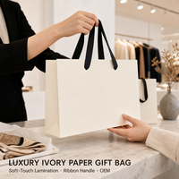 Sacs en papier kraft recyclables imprimés sur mesure, écologiques, pour cadeaux, aliments, shopping, emballage, avec poignée torsadée