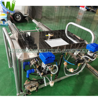 Machine de désinfection et de lutte antiparasitaire portable montée sur véhicule, à brouillard thermique, pour le contrôle des moustiques