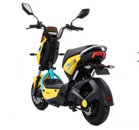 Scooter électrique OEM pas cher 48V 500W, vélo électrique avec pneus à vide de 10 pouces, 2 places, vélo électrique pour adultes