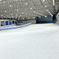 Structure en acier galvanisé anti-corrosion de haute qualité à grande portée pour la construction de patinoires intérieures