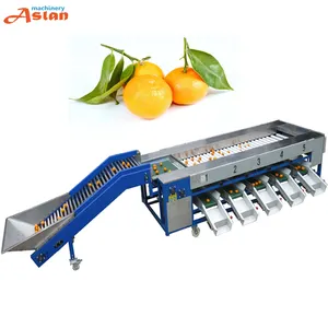 Máquina de lavado automático de frutas y naranja, 1 tonelada/h, sortija de limpieza, enceradora