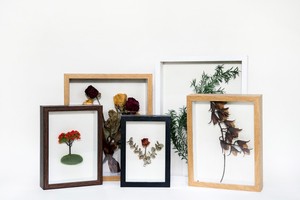 Hộp bóng gỗ chất lượng cao hiển thị khung ảnh thân thiện với môi trường, được sử dụng để lưu trữ các mặt hàng và trang trí, vv. - Product Image 4