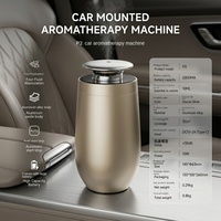 Diffuseur d'huiles essentielles pour voiture Fenchi P3 en métal, double liquide, désodorisant, pulvérisateur de parfum décoratif pour voiture, Chine