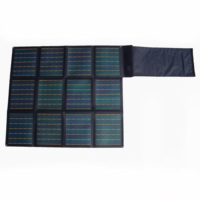 Charge de panneau solaire photovoltaïque flexible ultra mince 100W Trina pour batterie externe Lifepo4