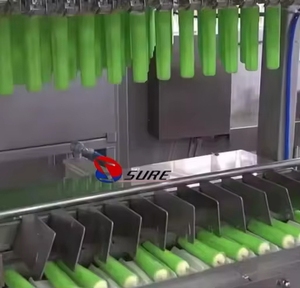 Công nghiệp <span class=keywords><strong>Stick</strong></span> <span class=keywords><strong>Ice</strong></span> <span class=keywords><strong>Cream</strong></span> sản xuất <span class=keywords><strong>Ice</strong></span> Popsicle dây chuyền sản xuất tuyến tính <span class=keywords><strong>Ice</strong></span> Lolly máy - Product Image 3