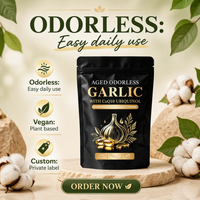 Gélules de gingembre naturel 100% végétaliennes OEM/ODM en vrac avec CoQ10 Ubiquinol, extrait de gingembre biologique vieilli à absorption élevée