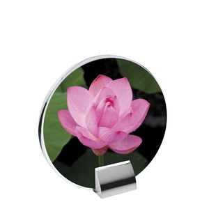 160X155 <b>Glass</b> <b>Frames</b> with Built-In Stand - Product Image 1