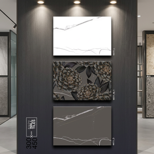 Carreaux muraux en céramique numérique 30x45cm, brillants et émaillés, pour intérieur, salle de bain, revêtement mural décoratif - Product Image 2