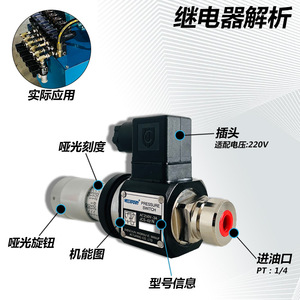 Relais de pression hydraulique à pompe à capteur haute/basse pression JCS-02N/02NL/02NLL/DNB-150K Catégorie de produit Relais - Product Image 2