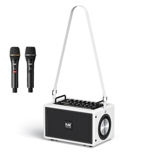 Loa karaoke sân khấu ngoài trời kép 5.25 inch, công suất 220W, loa siêu trầm mạnh mẽ, tích hợp amply, micro không dây, pin 10000mAh - Product Image 1