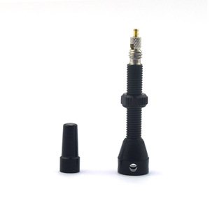 Valve de pneu sous vide en acier inoxydable à visser, type French Lips, sans chambre à air, pour berline - Product Image 2