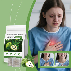 Té de Hojas de Guanábana Natural, Sin Cafeína, Cultivado en Tailandia - Product Image 4