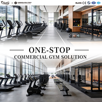 Ensemble complet d'équipements de gym, machines d'entraînement de force, ensemble complet, équipement commercial Foshan, solution de projet clé en main