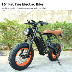 Bicicleta Eléctrica de Carretera de Largo Alcance con Motor sin Escobillas de 350W, Cuadro de Aluminio con Suspensión Completa, 48V 624Wh DP-1601, Sistema de 7 Velocidades - Product Image 1