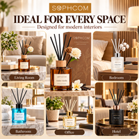 100ml diffuseur de roseaux d'huile essentielle naturelle avec bâtons décor à la maison parfum parfum aromathérapie coffret cadeau pour salon bureau