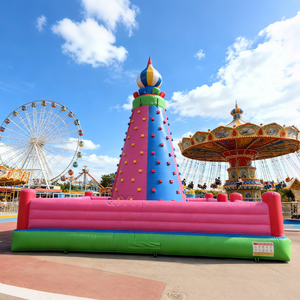 קיר טיפוס מתנפח מסחרי חיצוני ומגדל לילדים ומבוגרים, ניתן להתאמה אישית בגודל ובצבע, התקנה קלה - Product Image 1