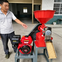 Machine à décortiquer le riz domestique, petite décortiqueuse de blé automatique 220V, broyeur multifonctionnel
