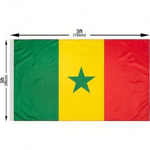ธงอะลูมิเนียมขายส่ง พิมพ์ดิจิทัล เย็บสองชั้น ตกแต่งสำหรับแคมเปญการเลือกตั้ง ธงเซเนกัลขนาด 3x5 ฟุต สำหรับงานเฉลิมฉลอง - Product Image 2